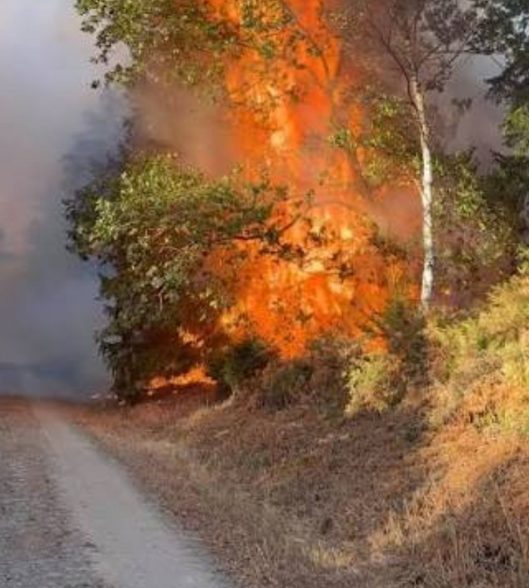 Incendiu devastator în vestul Germaniei