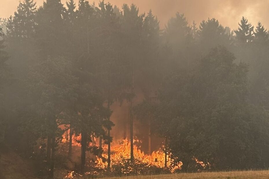 Incendiu devastator în vestul Germaniei