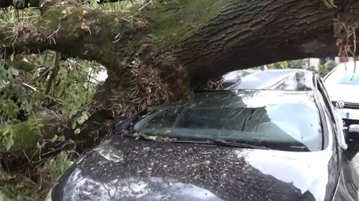 Tornadă devastatoare: 43 de răniți și 10.000 de mașini distruse