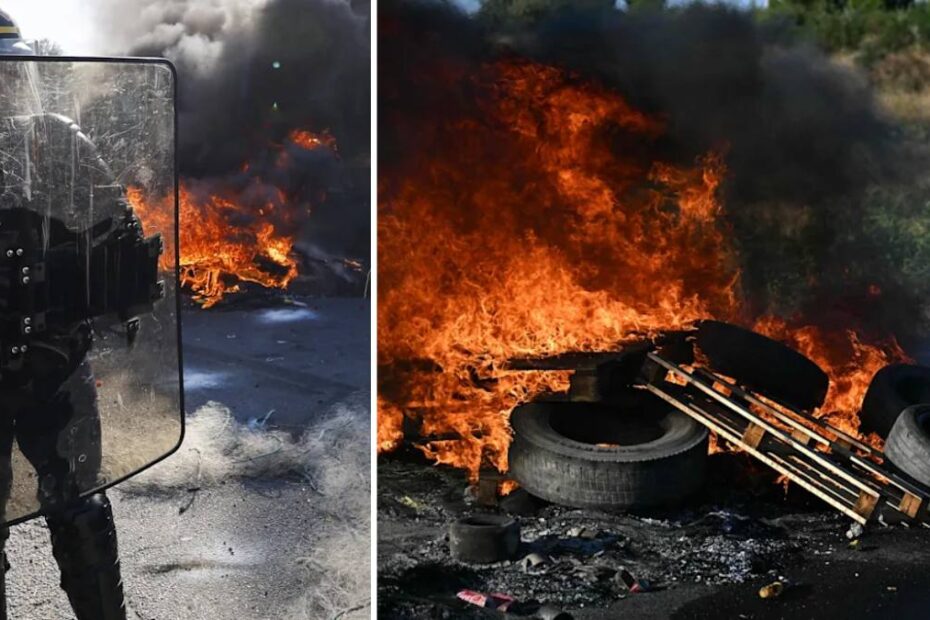protest prețuri combustibil