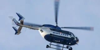 alarmă în Germania puma