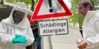 Invazie toxică în Germania