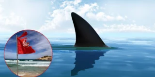 Turistă atacată de rechin în Marea Mediterană