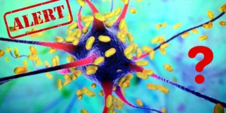 Alertă medicală în Germania: Focar mortal
