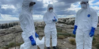 Germania introduce zone de carantină din cauza gripei aviare