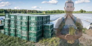 Reducere salarii pentru sezonierii români din Germania