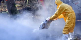 Paște Germania restricții