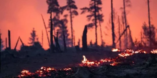incendiu pădure spania. În imagine, pădure în flăcări