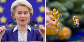 animale interzise în UE