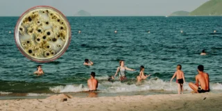 Bacterii carnivore în Marea Baltică