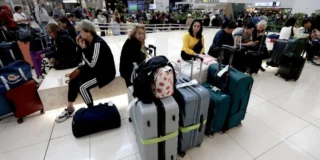 compania aeriană suspendă zborurile